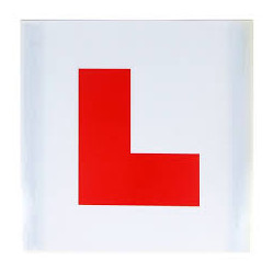 Category image for LEARNING TO DRIVE