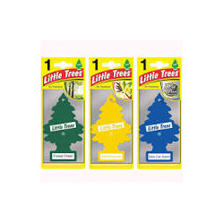 Category image for AIR FRESHNERS